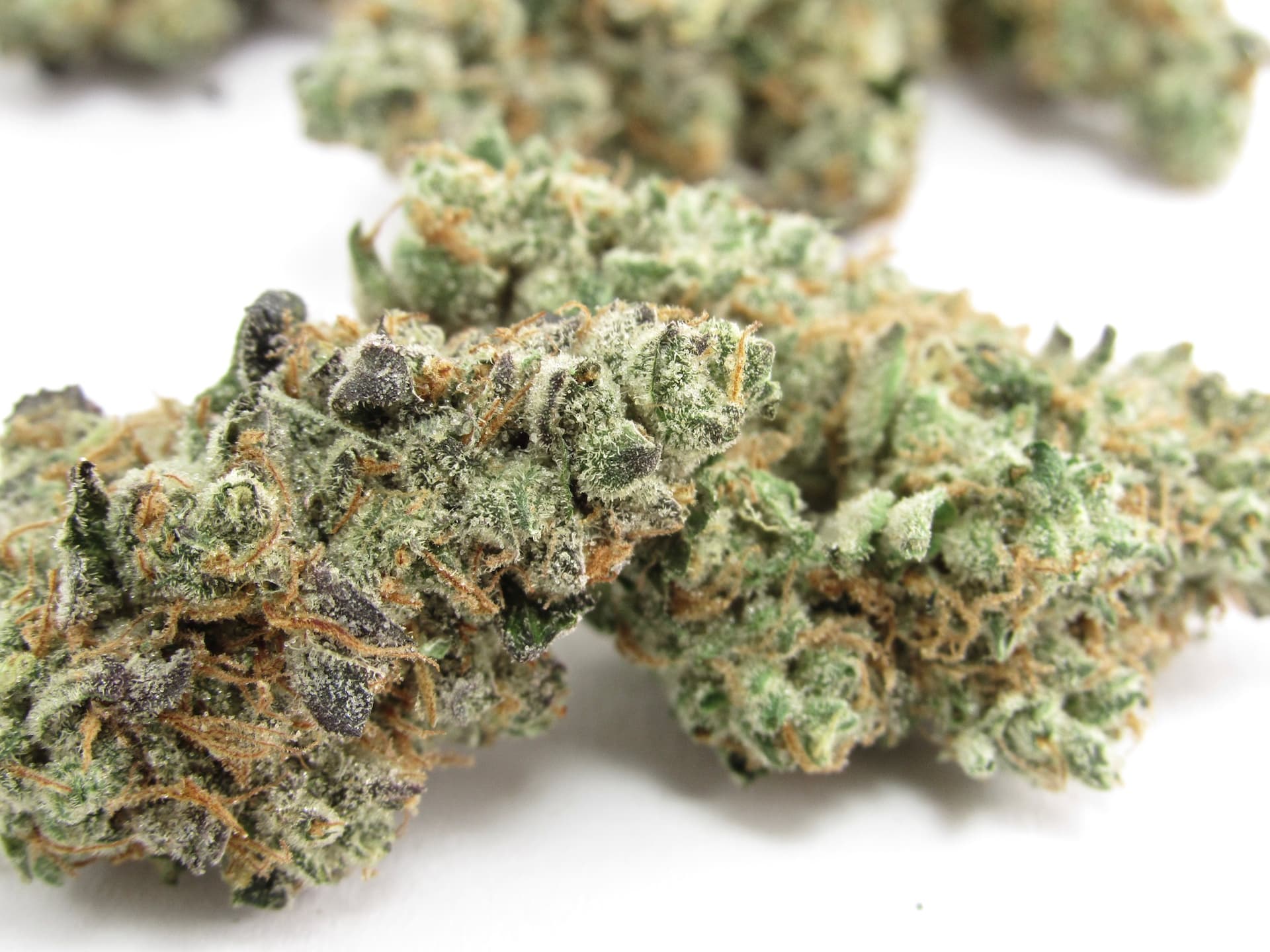 THCA Deutschland – Ihr Online-Shop für legale Premium-Cannabisprodukte mit sicherem &amp; schnellem Versand