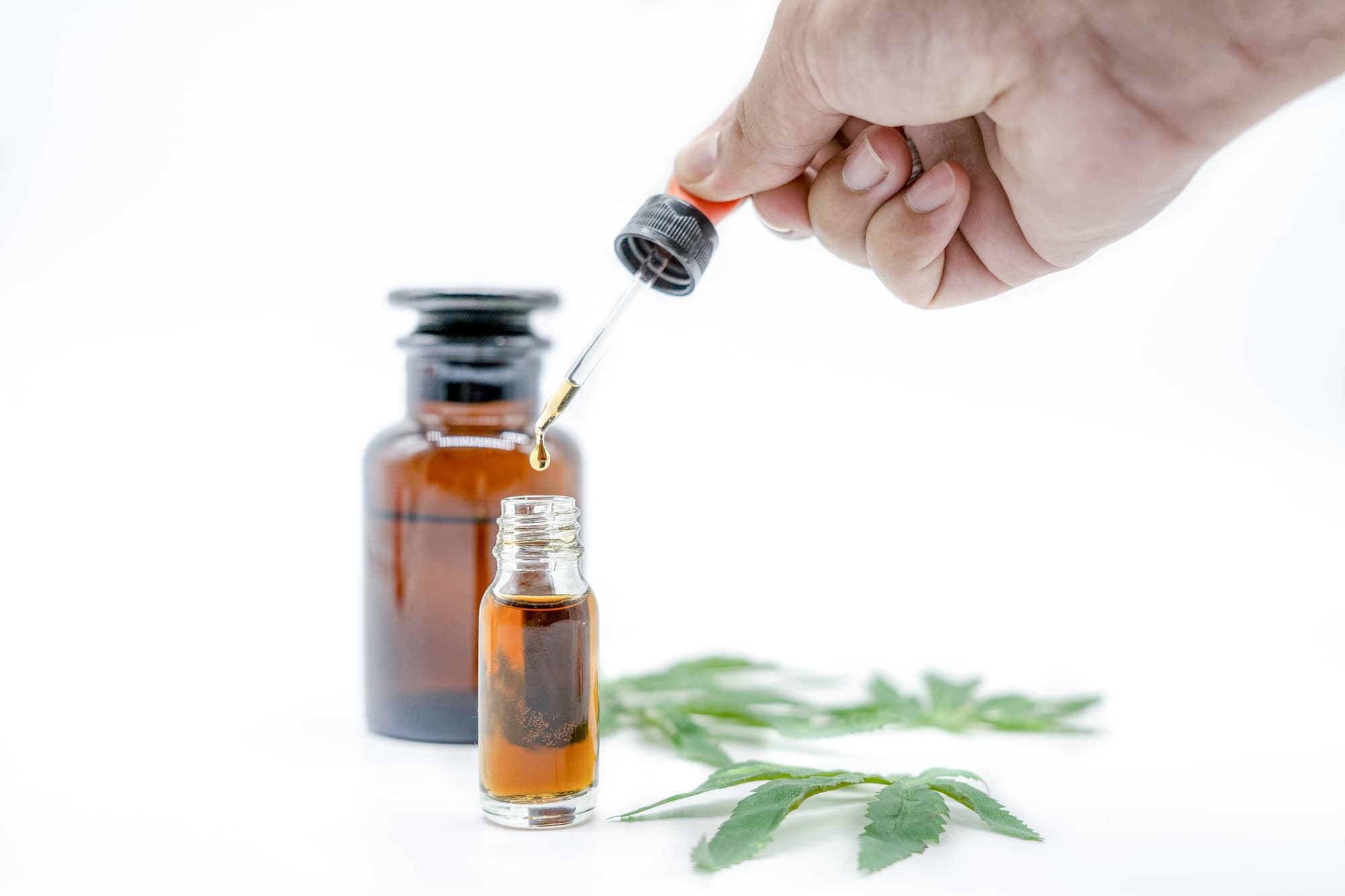 Cannabis Öl pressen: Wernard Bruining’s einfache Methode für zuhause