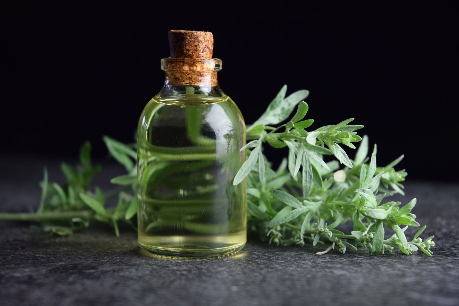 How to Choose the Best Liquid Herbal Incense for You