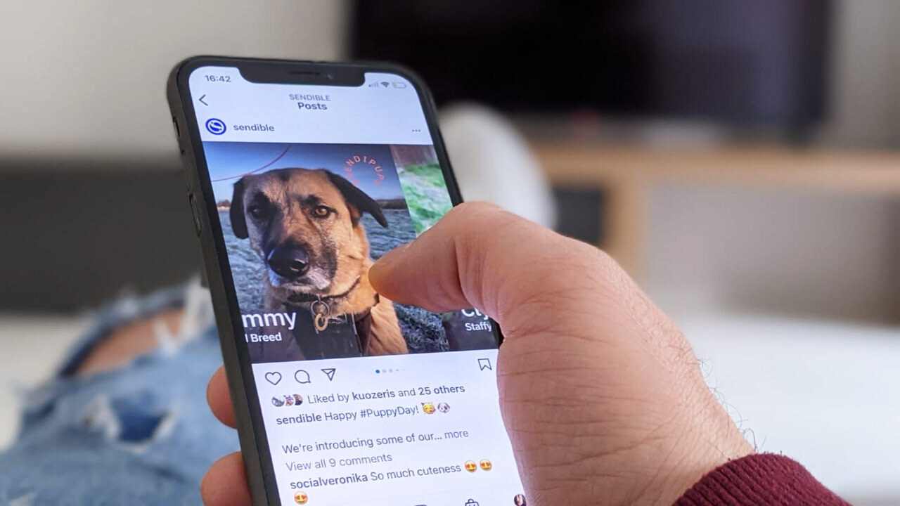 Story Viewer ohne Anmeldung: Instagram Stories diskret & sicher anschauen