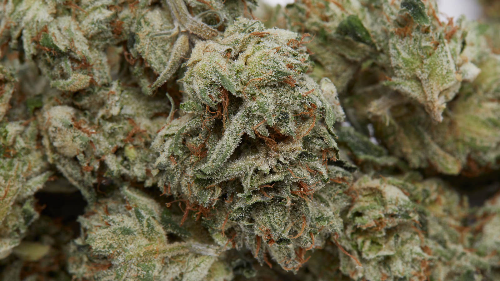 THCA Deutschland – Ihr Online-Shop für legale Premium-Cannabisprodukte mit sicherem &amp; schnellem Versand