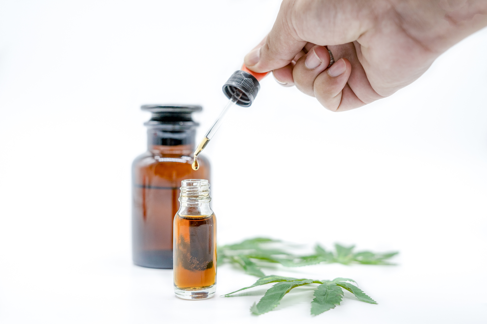 Cannabis Öl pressen: Wernard Bruining’s einfache Methode für zuhause