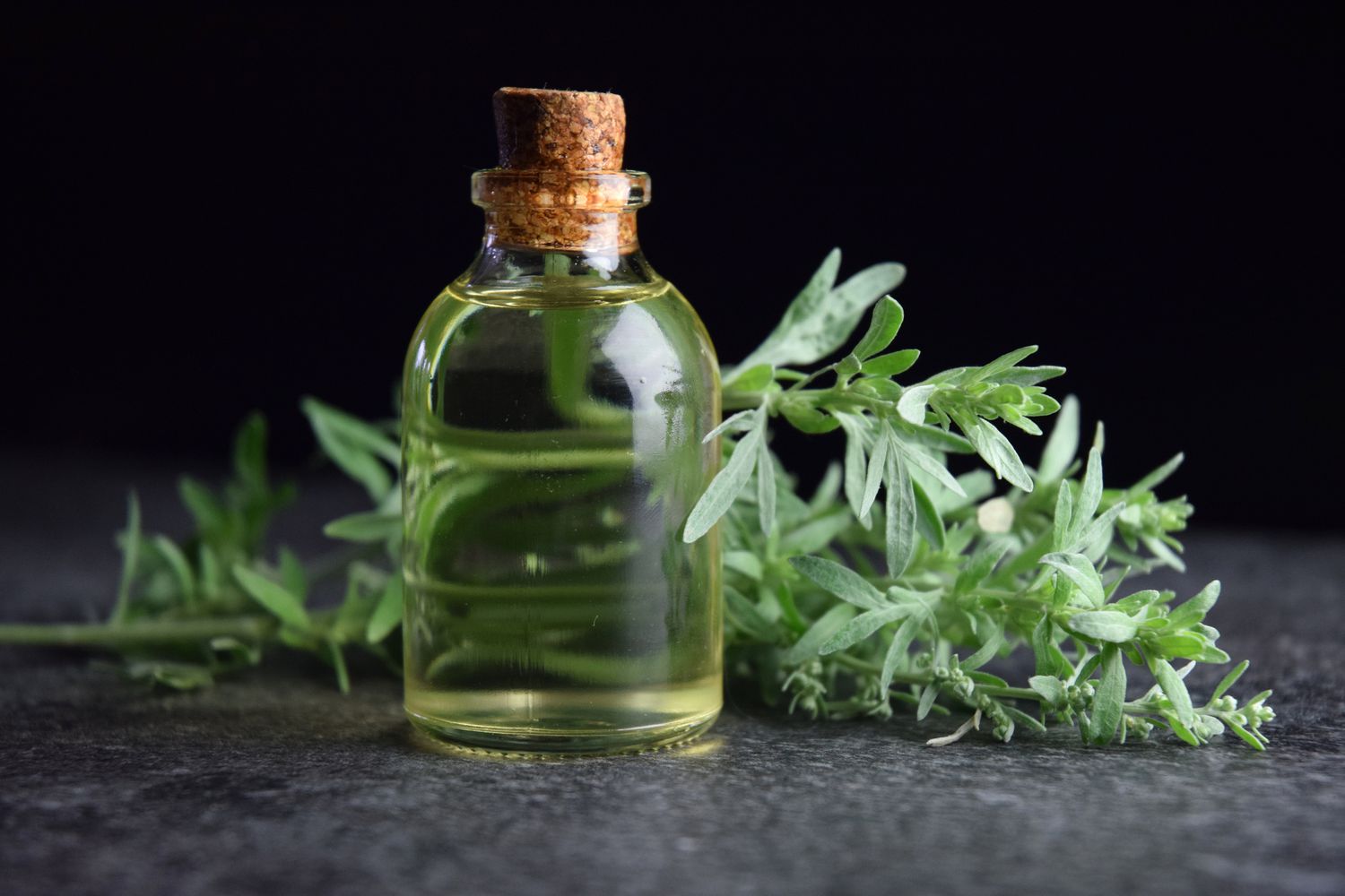 How to Choose the Best Liquid Herbal Incense for You