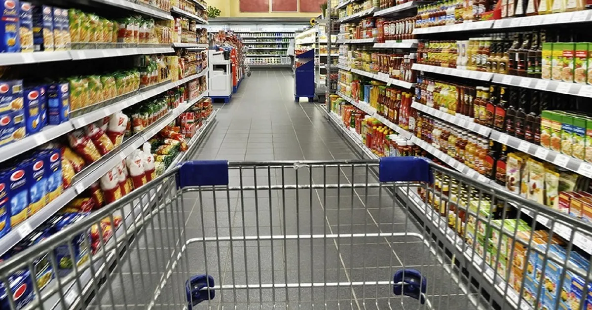 Weinblätter kaufen: Perfekt für gefüllte Dolmadakia und griechische Gerichte